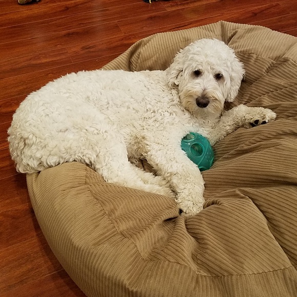 Meet your Posher, Debbi - Picture 6 of 6